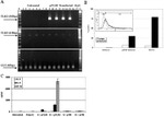 CD283 (TLR3) Antibody in Flow Cytometry (Flow)