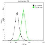 PKC beta Antibody in Flow Cytometry (Flow)