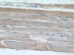 PDK4 Antibody in Immunohistochemistry (Paraffin) (IHC (P))