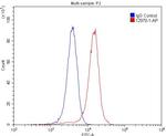 OPRL1 Antibody in Flow Cytometry (Flow)