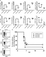 Granzyme B Antibody in Flow Cytometry (Flow)