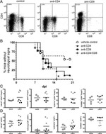 Granzyme B Antibody in Flow Cytometry (Flow)