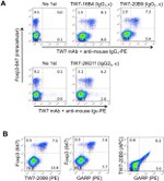 GARP Antibody in Flow Cytometry (Flow)