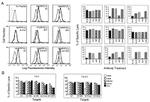 HLA-E Antibody in Flow Cytometry (Flow)