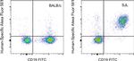 FOXP3 Antibody in Flow Cytometry (Flow)