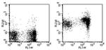 CD1d Antibody in Flow Cytometry (Flow)