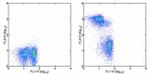 CD3 Antibody in Flow Cytometry (Flow)