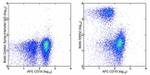 CD3e Antibody in Flow Cytometry (Flow)