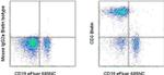 CD3 Antibody in Flow Cytometry (Flow)