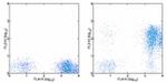 CD7 Antibody in Flow Cytometry (Flow)