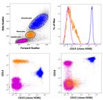 CD15 Antibody in Flow Cytometry (Flow)