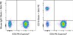 CD19 Antibody in Flow Cytometry (Flow)