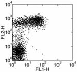 CD23 Antibody in Flow Cytometry (Flow)