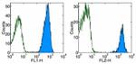 CD45 Antibody in Flow Cytometry (Flow)