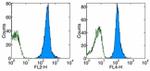 CD45.2 Antibody in Flow Cytometry (Flow)