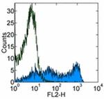 CD62L (L-Selectin) Antibody in Flow Cytometry (Flow)