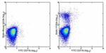 CD68 Antibody in Flow Cytometry (Flow)