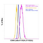 CD68 Antibody