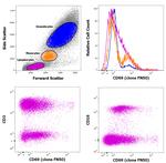 CD69 Antibody