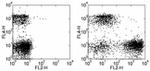 CD71 (Transferrin Receptor) Antibody in Flow Cytometry (Flow)