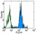 CD86 (B7-2) Antibody in Flow Cytometry (Flow)