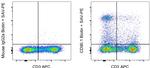 CD90.1 (Thy-1.1) Antibody in Flow Cytometry (Flow)