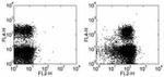 CD100 (SEMA4D) Antibody in Flow Cytometry (Flow)