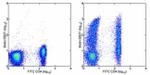 CD101 Antibody in Flow Cytometry (Flow)