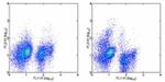 CD117 (c-Kit) Antibody in Flow Cytometry (Flow)