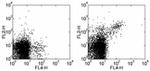 CD122 Antibody in Flow Cytometry (Flow)