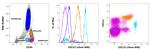 CD123 Antibody in Flow Cytometry (Flow)