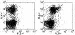 CD133 (Prominin-1) Antibody in Flow Cytometry (Flow)