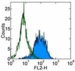 CD144 (VE-cadherin) Antibody in Flow Cytometry (Flow)