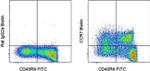 CD197 (CCR7) Antibody in Flow Cytometry (Flow)