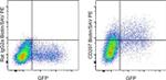 CD207 (Langerin) Antibody in Flow Cytometry (Flow)