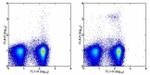 CD317 (BST2, PDCA-1) Antibody in Flow Cytometry (Flow)