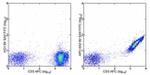 APC Antibody in Flow Cytometry (Flow)