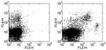 F4/80 Antibody in Flow Cytometry (Flow)