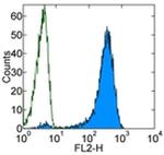 TCR DO11.10 Antibody in Flow Cytometry (Flow)