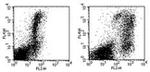 CD273 (B7-DC) Antibody in Flow Cytometry (Flow)