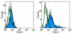 B7-H4 Antibody in Flow Cytometry (Flow)