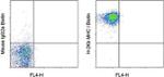 MHC Class I (H-2Kb) Antibody in Flow Cytometry (Flow)