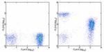 CD272 (BTLA) Antibody in Flow Cytometry (Flow)