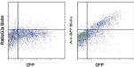 GFP Antibody in Flow Cytometry (Flow)