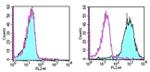 CD266 (TWEAK Receptor) Antibody in Flow Cytometry (Flow)