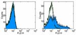 CD278 (ICOS) Antibody in Flow Cytometry (Flow)