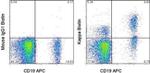 Kappa Light Chain Antibody in Flow Cytometry (Flow)