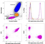 TCR alpha/beta Antibody