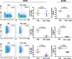 IL-13 Antibody