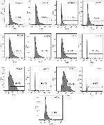 CD45 Antibody in Flow Cytometry (Flow)